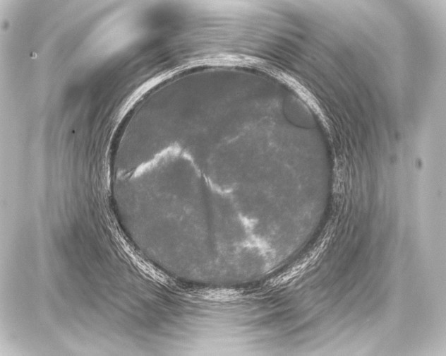 X0000087630837200705181458