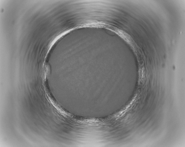 X0000087630838200705181458