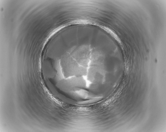 X0000087630839200705181458