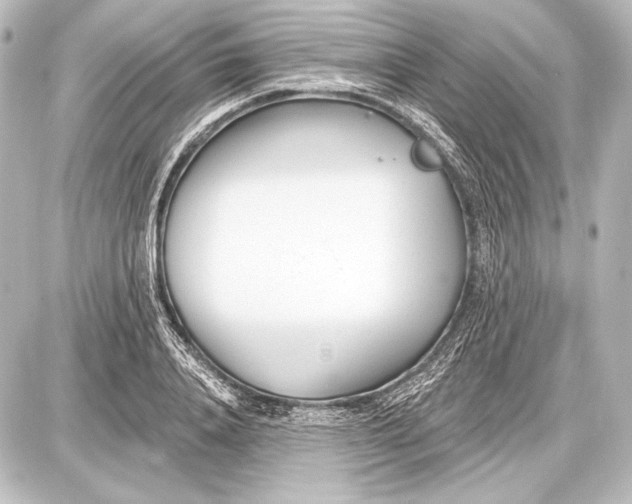 X0000087630840200705181458