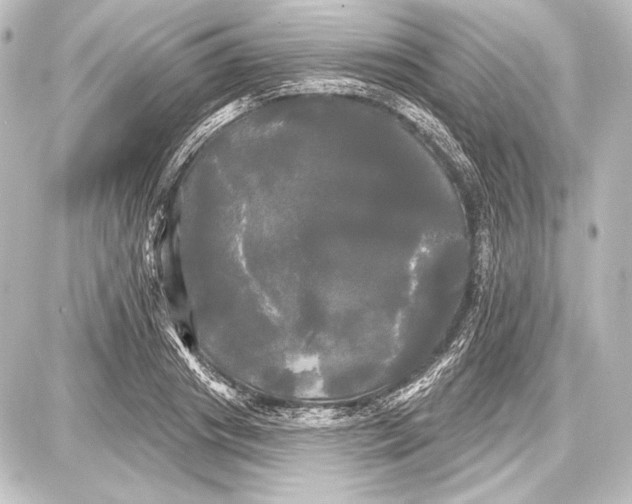 X0000087630841200705181458