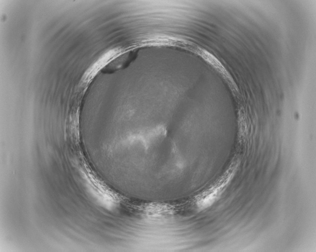 X0000087630842200705181458