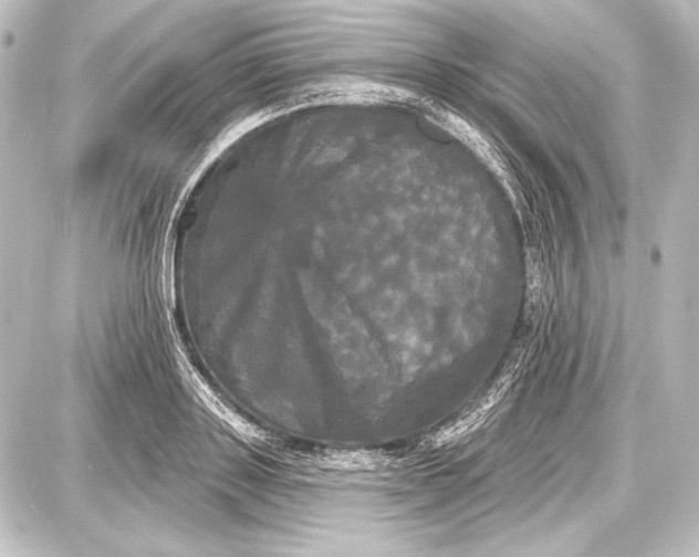 X0000087630843200705181458