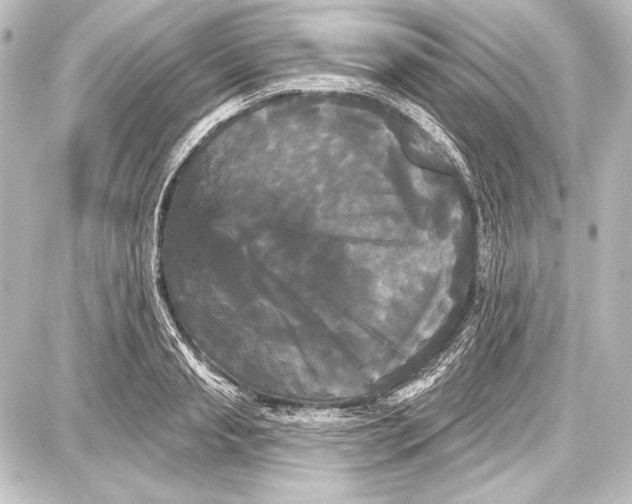 X0000087630845200705181458