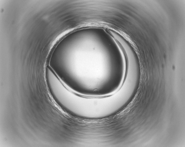 X0000087630846200705181458