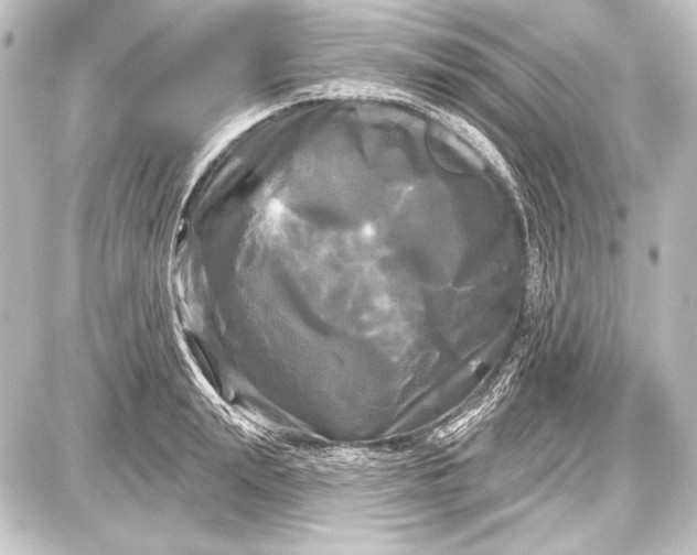 X0000087630847200705181458