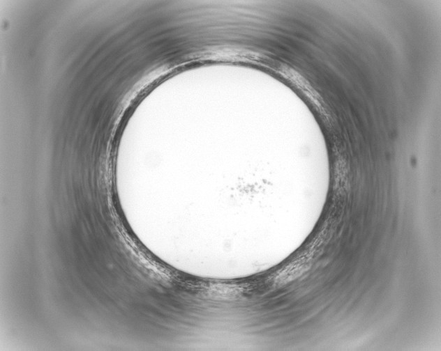 X0000087630848200705181458