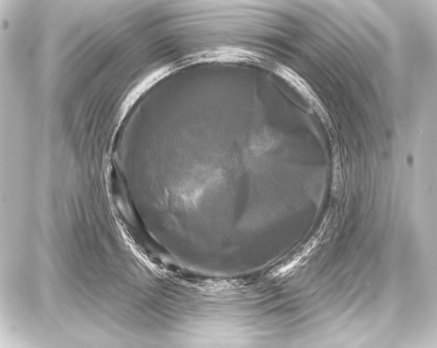 X0000087630850200705181458