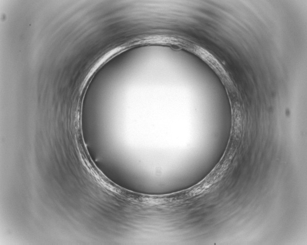 X0000087630852200705181458