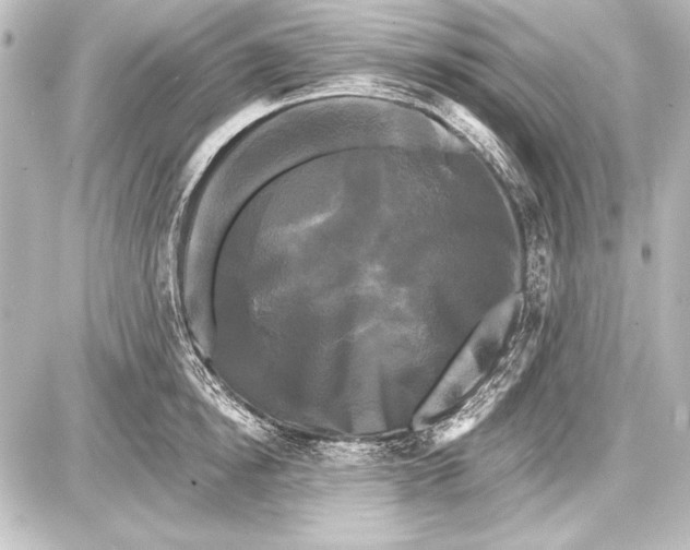 X0000087630854200705181458