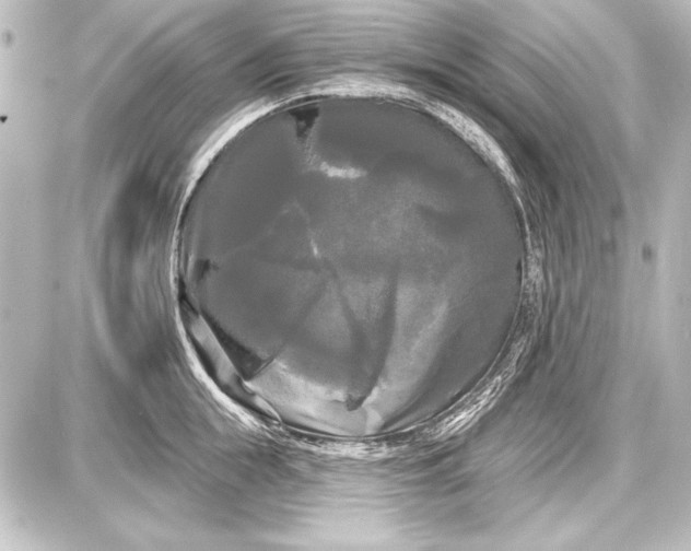 X0000087630855200705181458