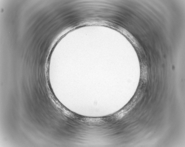 X0000087630856200705181458