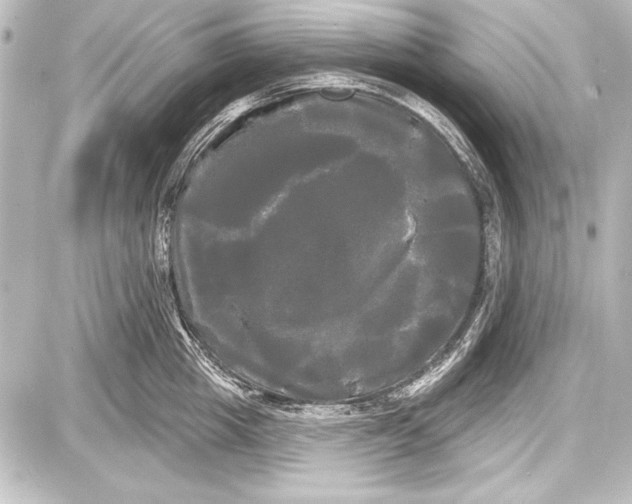 X0000087630857200705181459