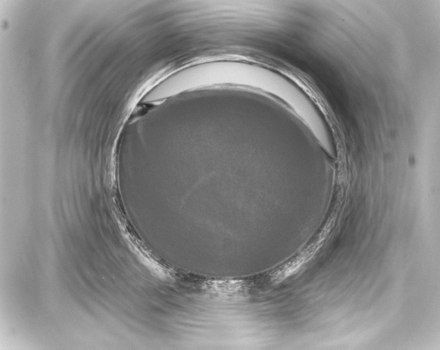 X0000087630858200705181459