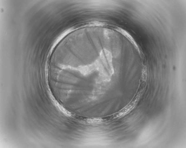 X0000087630859200705181459