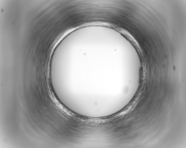 X0000087630860200705181459