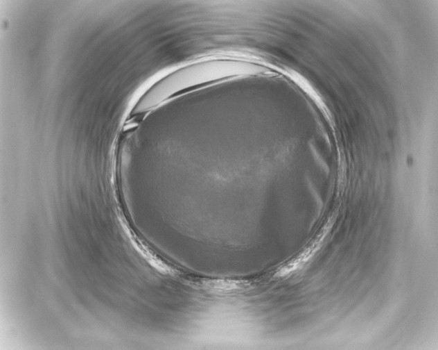 X0000087630862200705181459