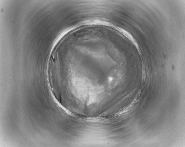 X0000087630863200705181459