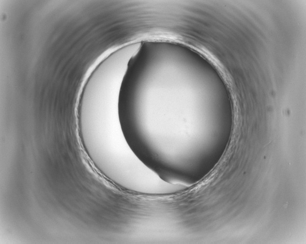 X0000087630864200705181459