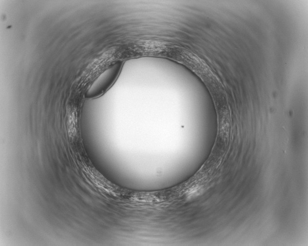 X0000087630866200705181458