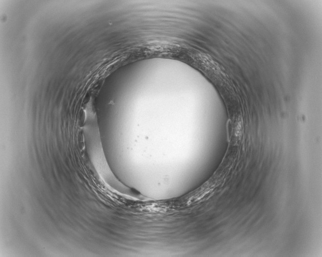 X0000087630868200705181458