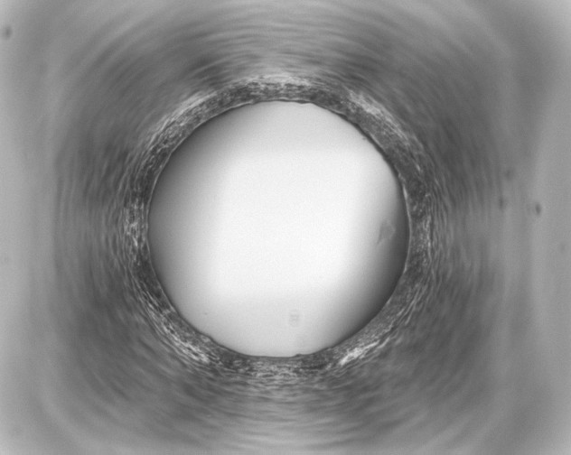 X0000087630870200705181458