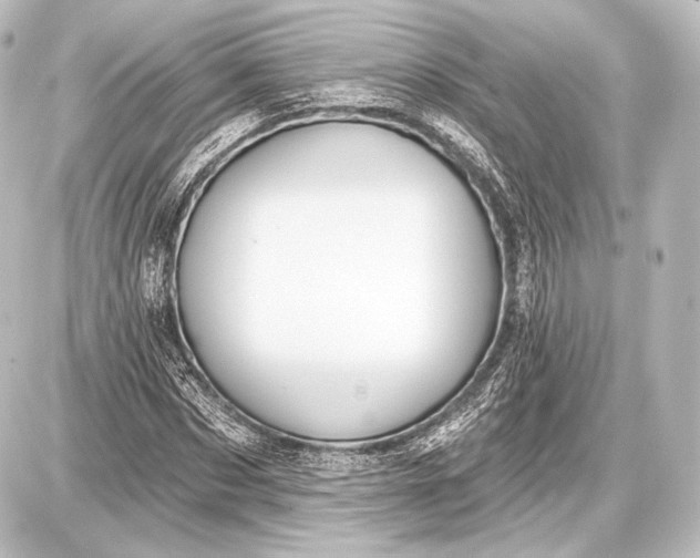 X0000087630873200705181458