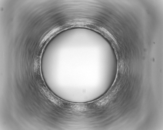 X0000087630874200705181458