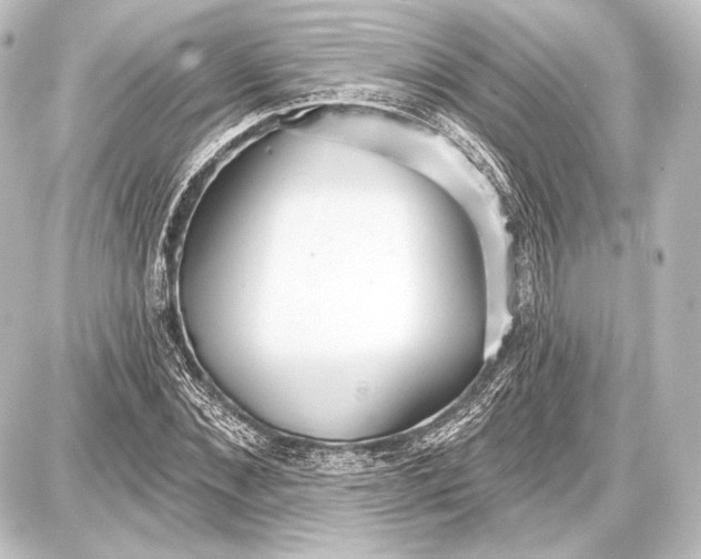 X0000087630876200705181458