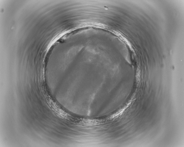 X0000087630877200705181458