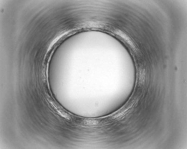 X0000087630878200705181458