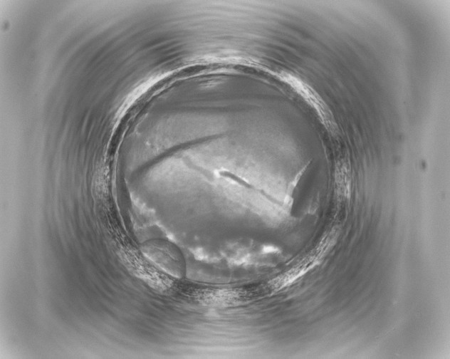 X0000087630879200705181458