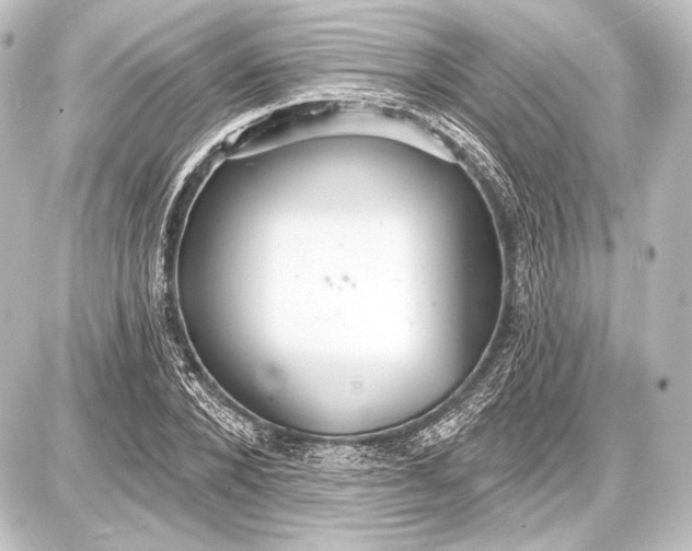 X0000087630880200705181458