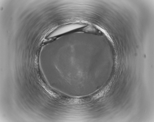 X0000087630881200705181458