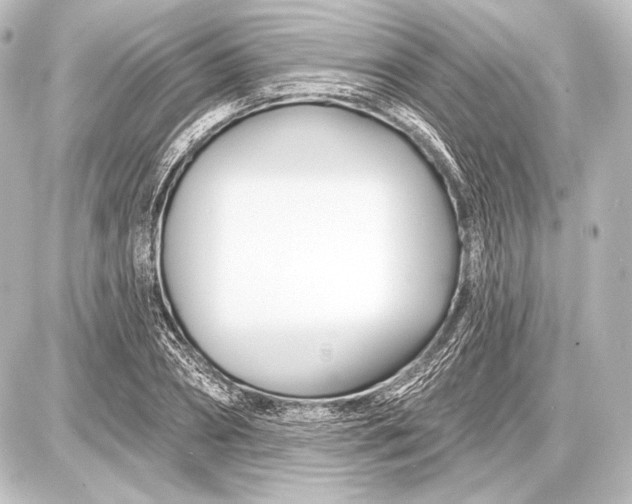 X0000087630882200705181458