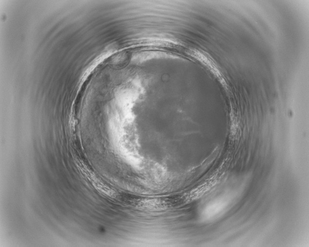 X0000087630883200705181458