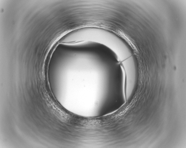 X0000087630884200705181458