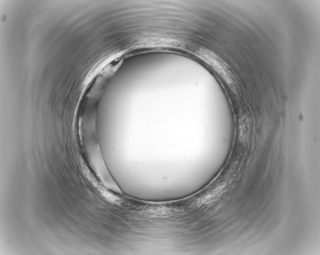 X0000087630885200705181458