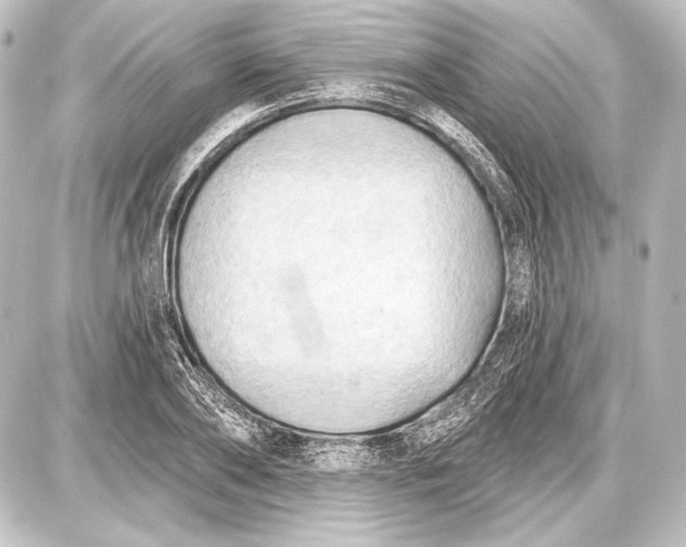 X0000087630886200705181457