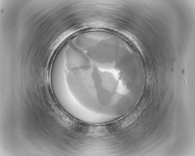 X0000087630887200705181457