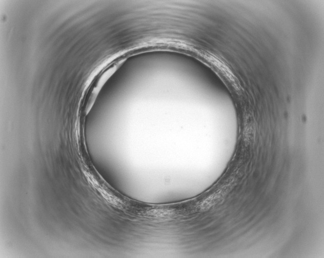 X0000087630888200705181457