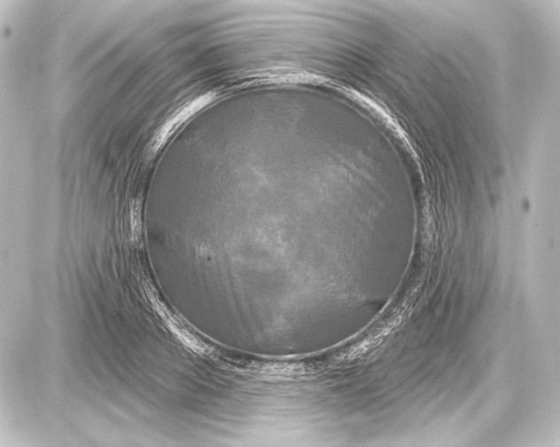 X0000087630889200705181457