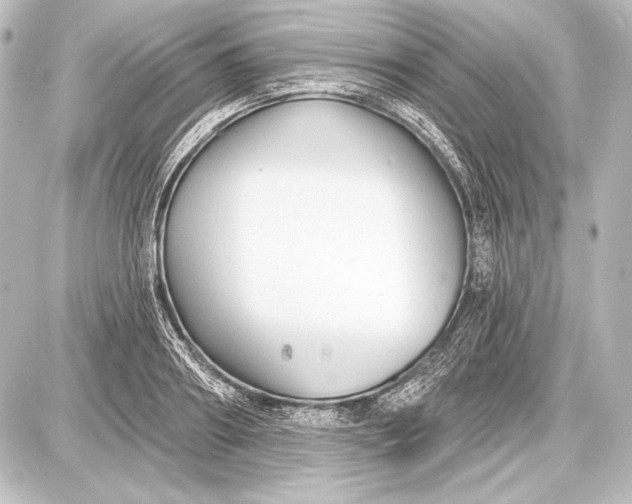 X0000087630890200705181457