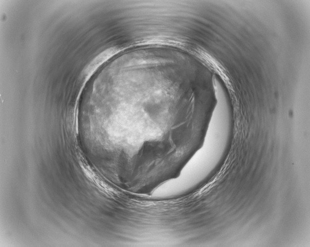 X0000087630892200705181457