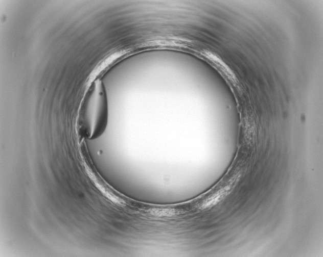 X0000087630893200705181457