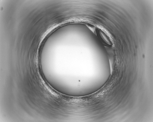 X0000087630894200705181457