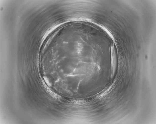 X0000087630895200705181457