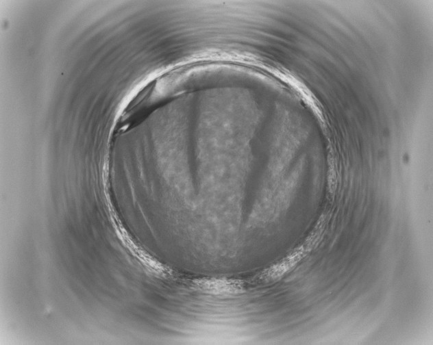 X0000087630896200705181457