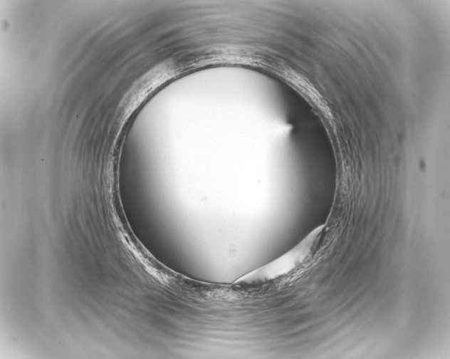 X0000087630898200705181457