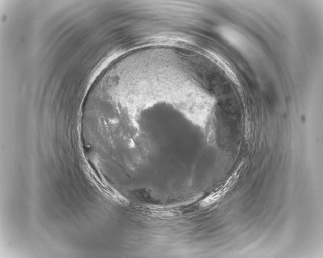 X0000087630899200705181457